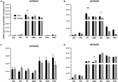 Effects of Short-Term Fasting on mRNA Expression of Ghrelin and the Peptide Transporters PepT1 and 2 in Atlantic Salmon (Salmo salar)